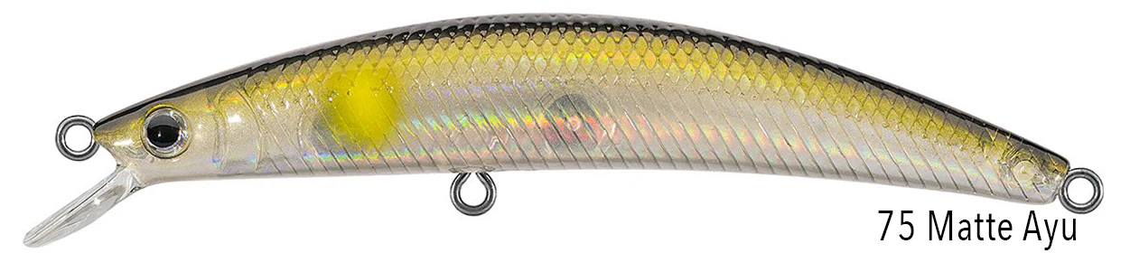 DR.MINNOW JERKBAITS - Image 6