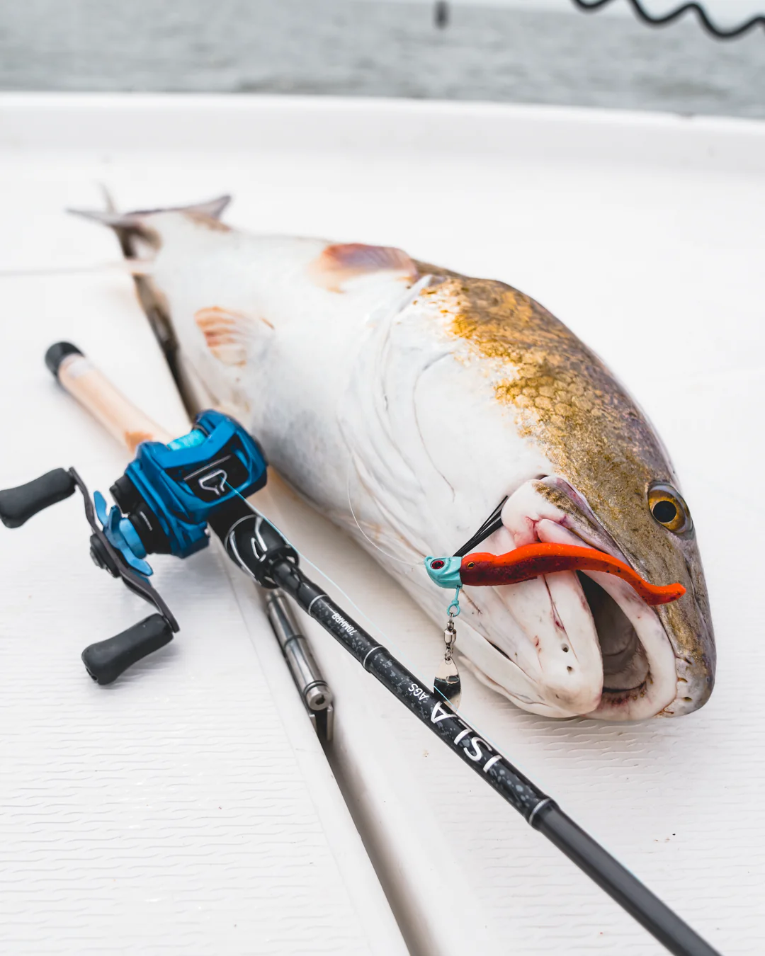 ISLA AGS INSHORE RODS - Image 2