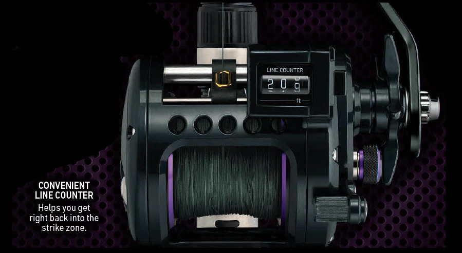 PROREX LWLC - Image 2