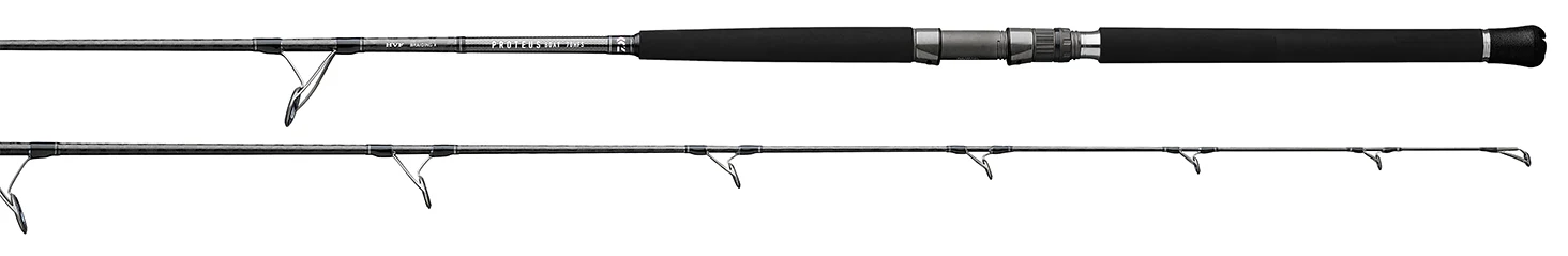PROTEUS RODS - Image 3
