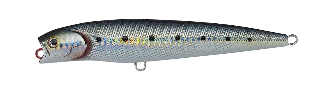SALTIGA DORADO PENCIL - Image 4