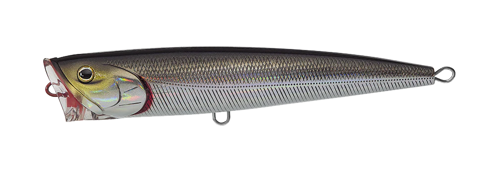 SALTIGA DORADO POPPER - Image 17
