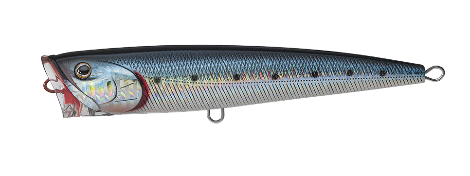 SALTIGA DORADO POPPER - Image 19