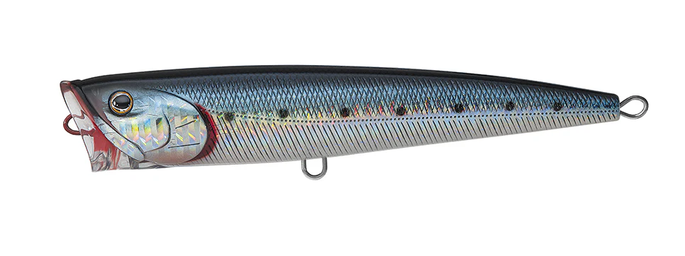 SALTIGA DORADO POPPER - Image 5