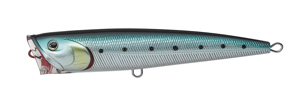 SALTIGA DORADO POPPER - Image 6