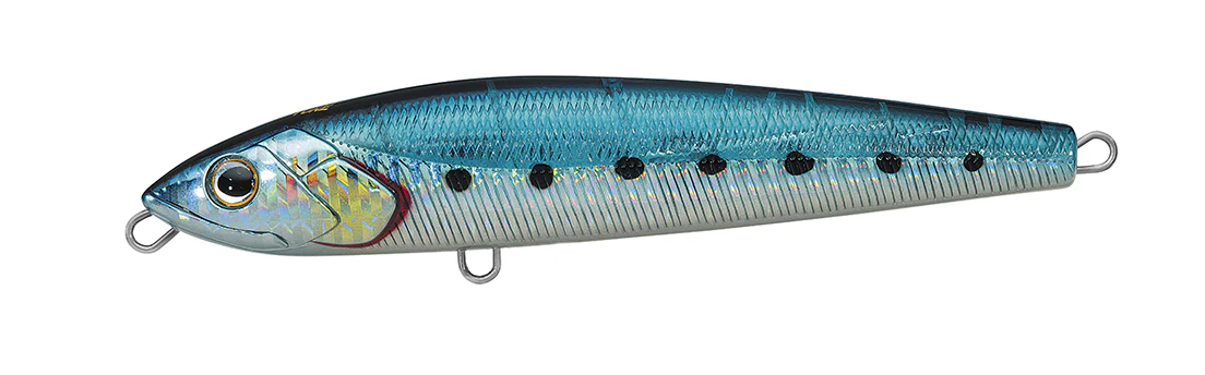 SALTIGA DORADO SLIDER - Image 3