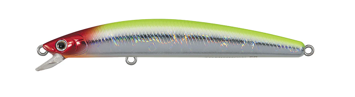 TD MINNOW - Image 11