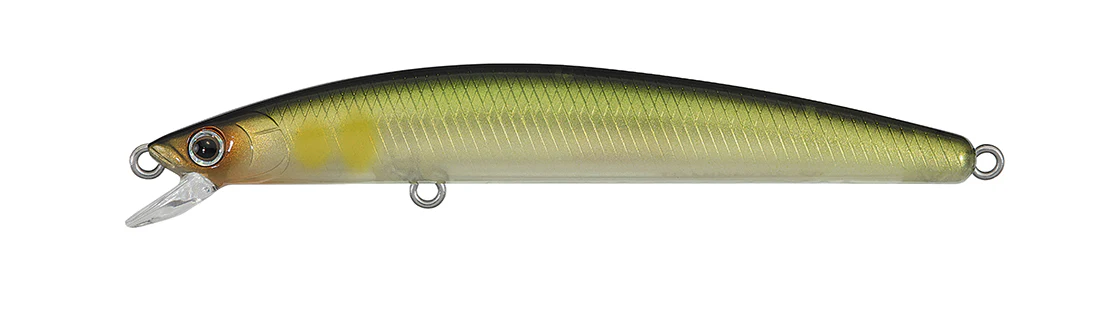 TD MINNOW - Image 9